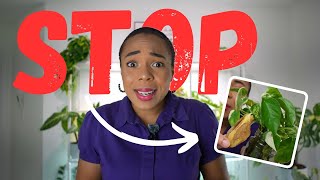✋🏽 STOP making these mistakes with your houseplants 🫣🪴