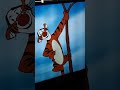Many Adventures Of Winnie The Pooh