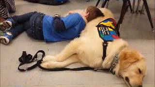 Jaxon Visits School For A Day