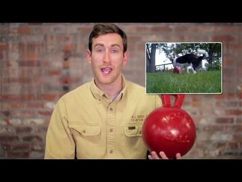 Игрушка для собак Jolly Pets TUG-N-TOSS гиря 20 см Красный (408RD) - фото 5 - id-p1897448136