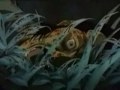 Korn Dead Bodies Everywhere Faces Of Death