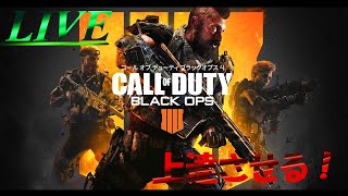 【BO4】　BO4本気で上達させる！　[LIVE]