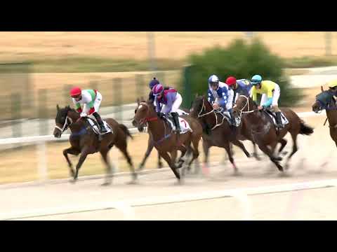 2022.08.31. 02. futam - BALTAZZI FIVÉREK EMLÉKVERSENYE HENDIKEP (IV.o.) (szintetikus pálya)