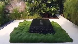 How to Use Plant Textures for Privacy and Beauty