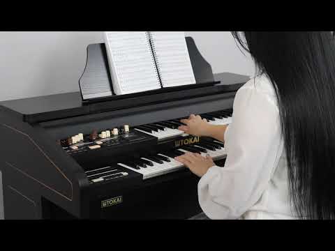 TOKAI MD-20: Hino 440 - CCB