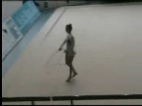 Regions2008ThiaisFedSenLevinPCerceau