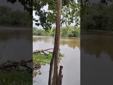 Rio jucuruçu Prado Bahia Brasil
