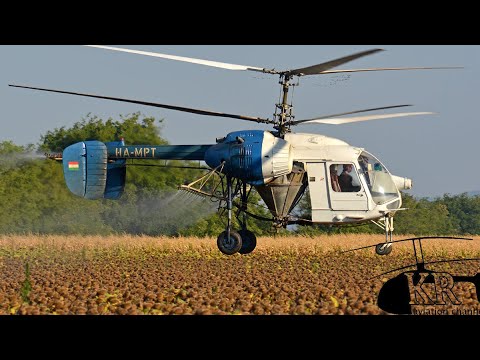 Old Russian Kamov Ka-26 helicopter spraying sunflower near Perkáta, Hungary