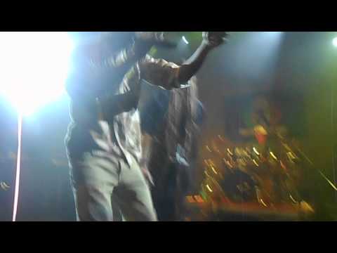 Young Lion Showcase video
