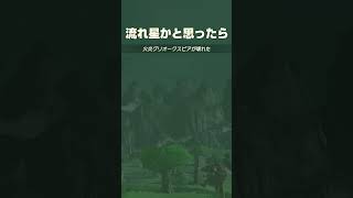 流れ星かと思ったら【ゼルダの伝説 ティアーズオブザキングダム】
