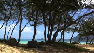 Henry Kapono: Home in the Islands