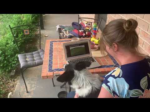 How to train a new agility handling technique? with Niki Drage