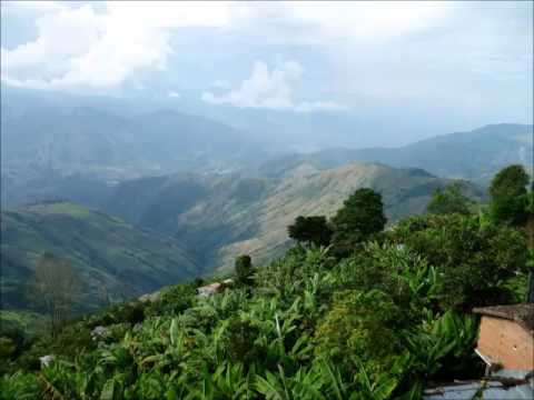 Video de Armenia, Antioquia