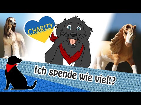 💰💸SO VIEL GELD FÜR DIE UKRAINE!💙💛 Schleich Spendenaktion! Wie viel kam zusammen?