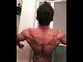 鬼の背中を目指せ!背中トレ(ベントオーバーローイング等背中トレ、肩リアトレ等)