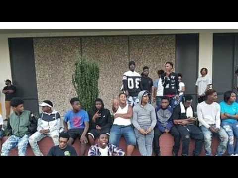 MMLCHEESE life story