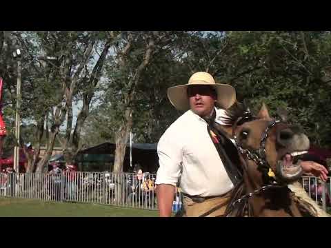 BANDA 25 ANIVERSARIO VILLA FLORIDA 2025 PRIMERA PARTE