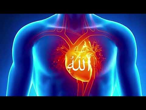 Rasakan Nikmatnya Dzikir Allah