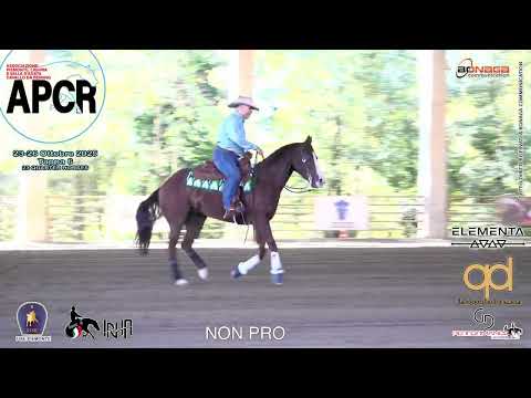 6 tappa APCR 2025 - GIANNITTI DOMENICO & SHINE GUN N ROSE score 70,5