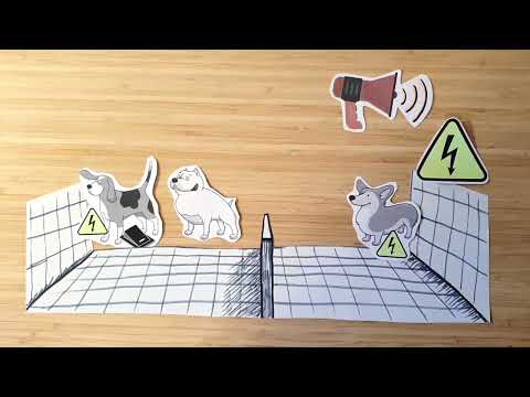 Erlernte Hilflosigkeit / Learned Helplessness - Seligman & Maier