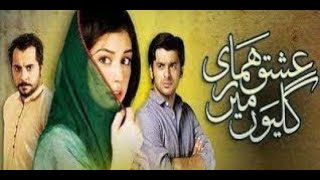 Ishq Hamari Galiyon Mein