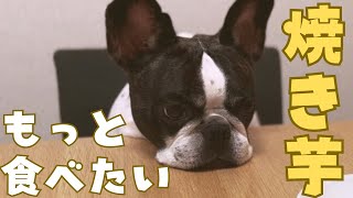 焼き芋食べたらいじけました😓