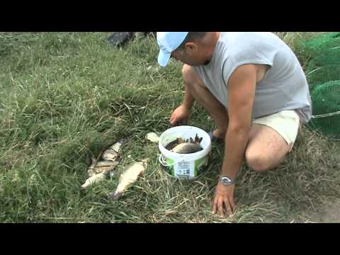 Eliberare Sapunari.MPG