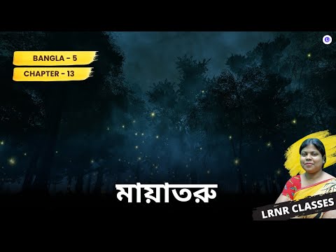 Chapter 13 Mayatoru by Ashok Bijoy Raha || মায়াতরু