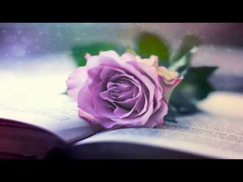 Ljiljana Ranković - recenzija za knjigu Čitači pepela