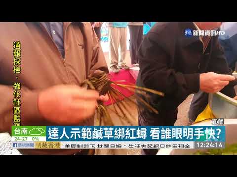 ｢時潮蟳蝦祭｣登場 體驗撈蝦綁紅蟳