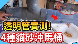 [心得/分享] 貓砂沖馬桶實測by水電爸爸