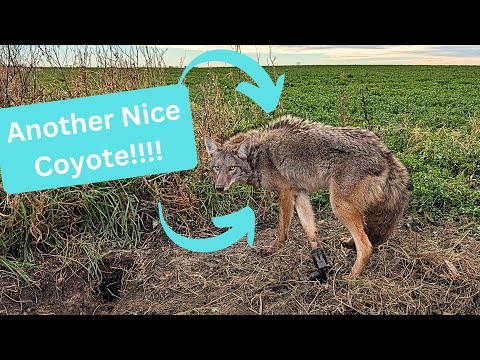 Out On The Line 2025 Ep. 4 - First Water Check