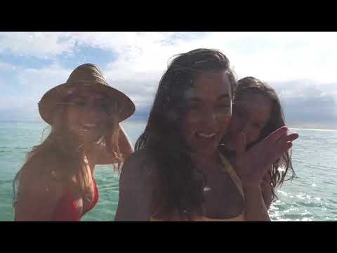 Nas asas do destino! (2018)