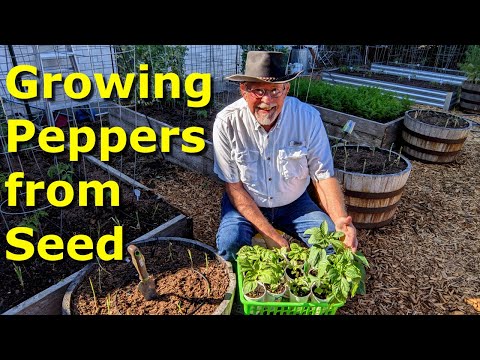 , title : 'Peppers from Seed to Garden at Deep South Texas'