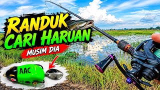 Download lagu #EP1489 Meletup Dia Ambik! Casting Haruan Bendang memang Syahdu mp3