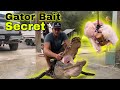 The SECRET How To Make Rig Baits For Catching GIANT Alligators 2022