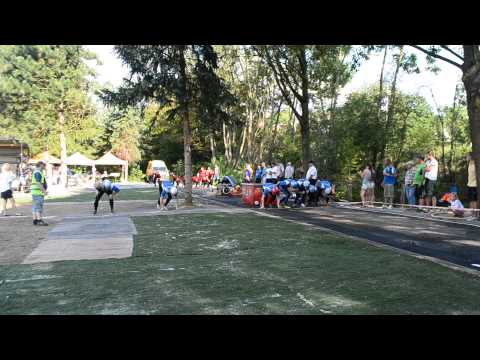 22. 8. 2015 BL - Sedlčany - Radětice vs. Vranovice - finále