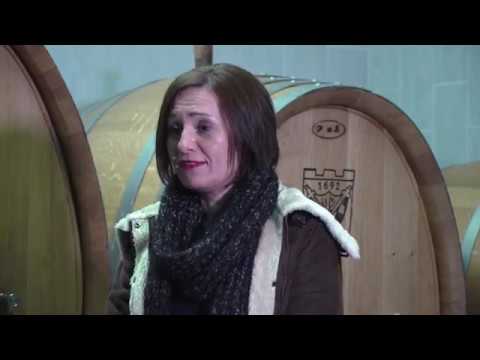 Gastro lutalica - Vinarija Šafran - Sezona 2