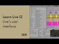 Video 10: Live User Interface