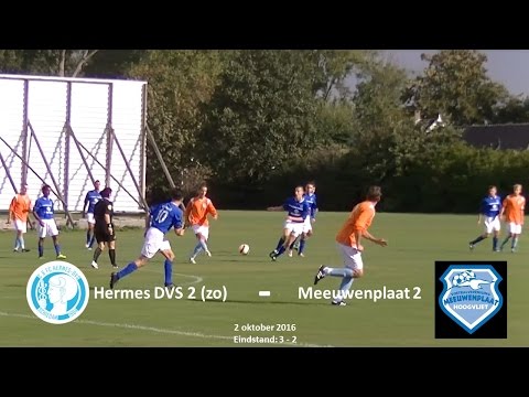Samenvatting Hermes DVS 2 (zo) -  Meeuwenplaat 2