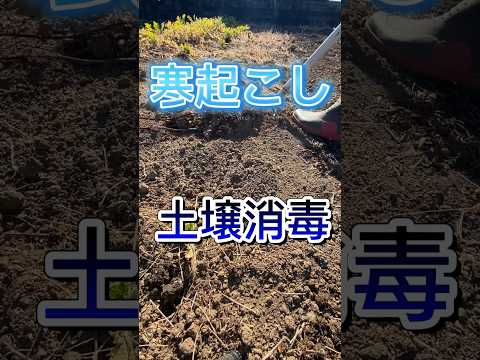冬に堆肥が湿りすぎるのはなぜですか?原因と解決策！  庭園