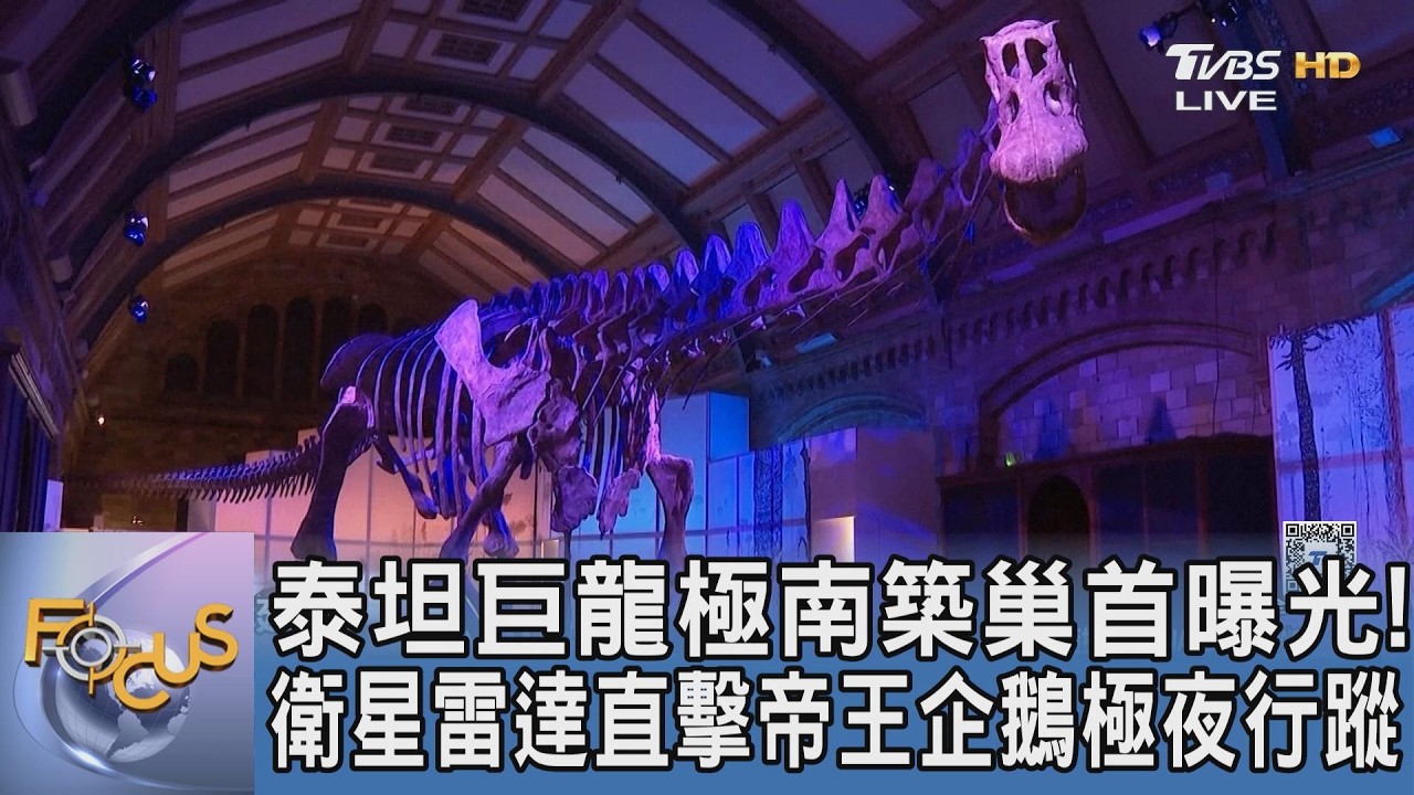 泰坦巨龍極南築巢首曝光！衛星雷達克服極夜 捕捉帝王企鵝全年行蹤