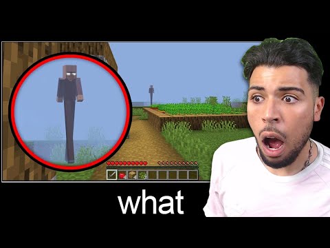 THIS MINECRAFT BUG MUST NOT BE REDONE!!  (Horrible)