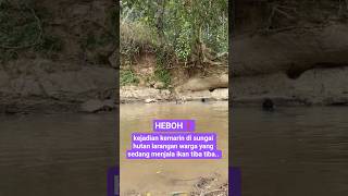 Download lagu kejadian kemarin di sungai hutan larangan warga yang sedang menjala ikan tiba tiba #shortsviral mp3 Download lagu kejadian kemarin di sungai hutan larangan warga yang sedang menjala ikan tiba tiba #shortsviral mp3