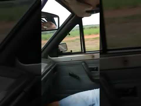 chiste de carro con camión que chocan