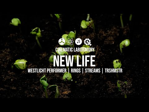 New Life | Westlicht Performer alt firmware, Rings, Streams, WMD TrshMstr