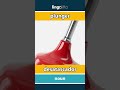 plunger - desatascador video thumbnail