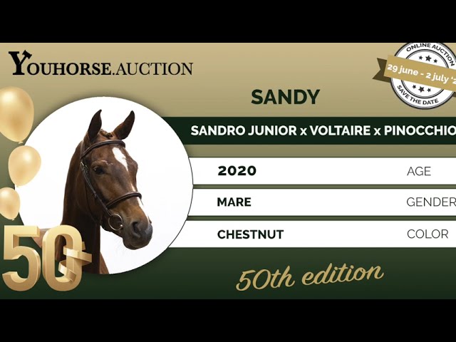 Sandy trainingsvideo