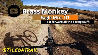 MTB Trail Preview | Brass Monkey - fast forward the fluff