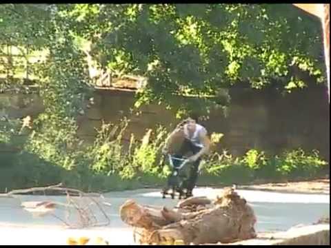 Alex Liiv BONE DETH frame